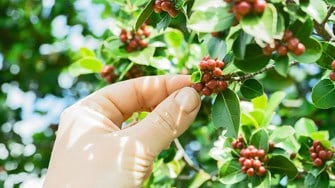 close up picture of picker